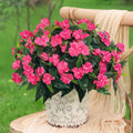 5 Pcs Artificial Flowers for Outdoors Silk Impatiens Flowers Bouquet Decorations Fake Faux Plants UV Resistant for Spring Summer Garden Porch Patio Window Box Balcony Planters Home Decor Rose
