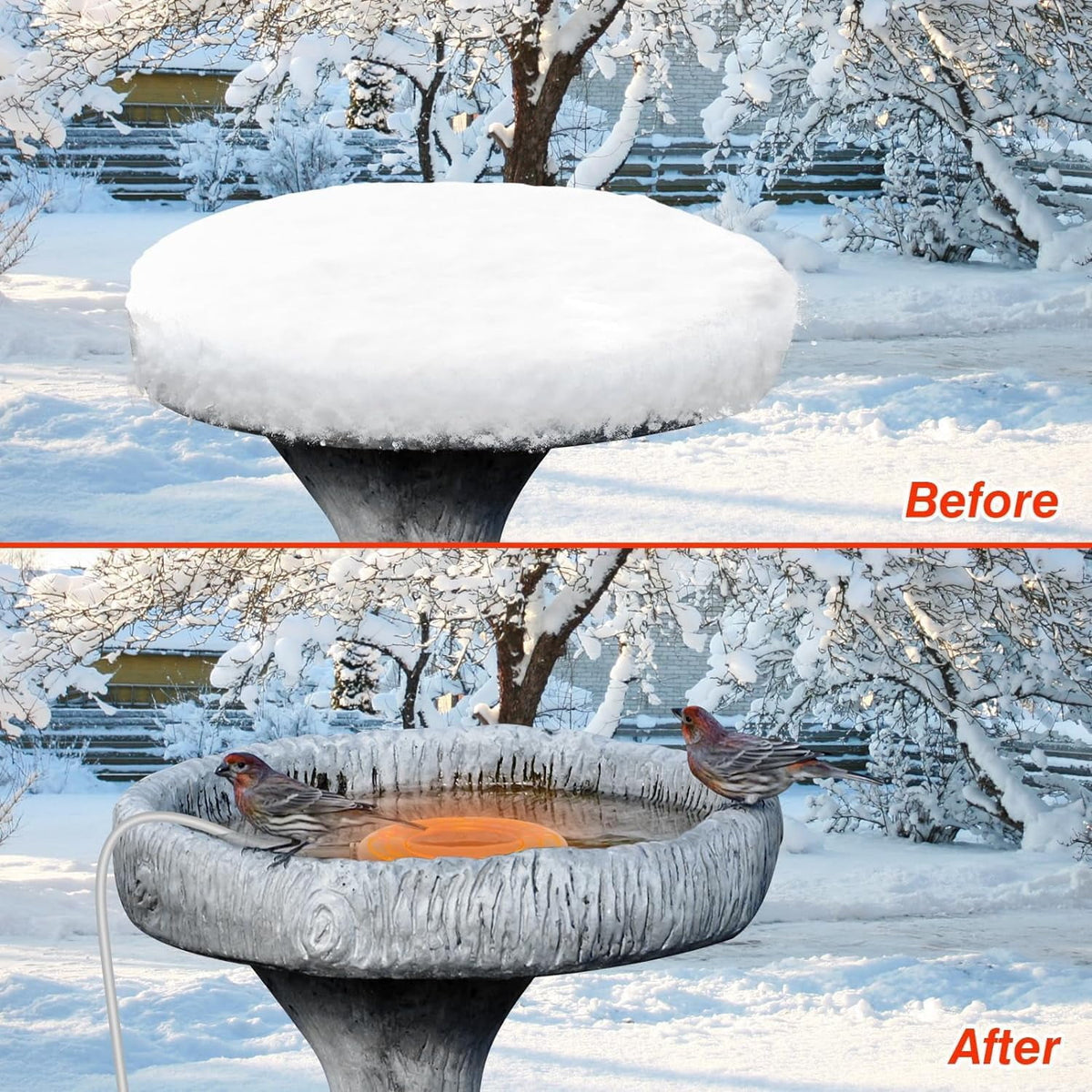 MUSICOZY Bird Bath Heater 70W 120V Automatic Birdbath Deicer for Winter Outdoor Birdbaths and Animal Water Bowls Chicken Coop Water Deicer 48±5°C Thermostat Control for Patio Garden 3.3ft Cord